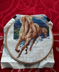 20201116_094817_copy_2018x2448_copy_807x979.webp 20201116_094817_copy_2018x2448_copy_807x979.webp