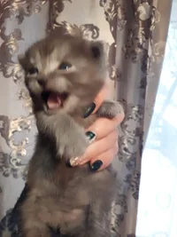 i (2).webp i (2).webp