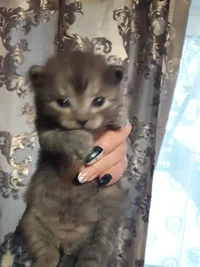 i (3).webp i (3).webp