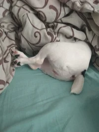 IMG_20201125_111110.webp IMG_20201125_111110.webp