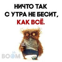 сова.jpg
