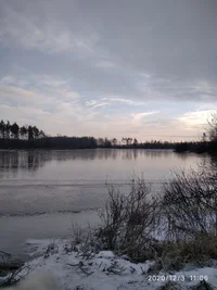 IMG_20201203_110645_1.webp