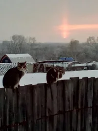 WhatsApp Image 2020-12-06 at 15.27.38.webp