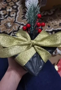 photo_2020-12-09_19-51-23.jpg photo_2020-12-09_19-51-23.jpg