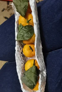 IMG_20201209_185653.jpg IMG_20201209_185653.jpg