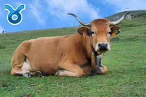 taurus_s.webp taurus_s.webp