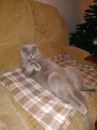 IMG_20200109_212430.webp IMG_20200109_212430.webp