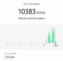 Screenshot_20210102-235536_Samsung Health.webp