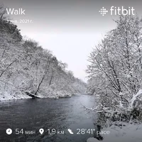 fitbitshare_1214900111.webp
