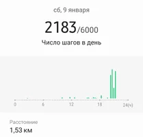 Screenshot_20210110-142125_Samsung Health.webp