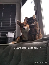 IMG_20210114_104829.webp IMG_20210114_104829.webp