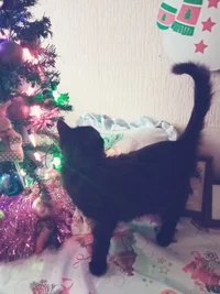 IMG_20210120_103107.webp IMG_20210120_103107.webp