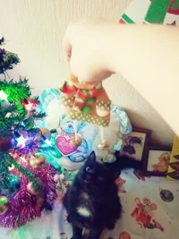 IMG_20210120_103241.webp IMG_20210120_103241.webp