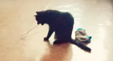 IMG_20210120_102316.webp IMG_20210120_102316.webp