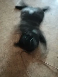 IMG_20210120_101944.webp IMG_20210120_101944.webp