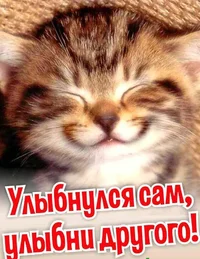 07EA25CC-E672-43A9-A85D-0C7ADE6D5769.webp