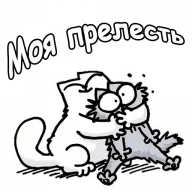 23553159.webp 23553159.webp