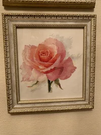 image.webp image.webp