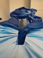 1605726854134672392.gif 1605726854134672392.gif