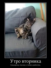 dobroe-utro-vtornika-kartinki-prikolnye-humoraf-28.webp