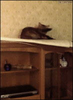 резкие движ2.gif резкие движ2.gif