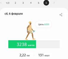 Screenshot_20210207-201123_Samsung Health.webp