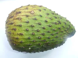 1280px-Annona_muricata2.webp
