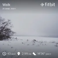 fitbitshare_1075335867.webp