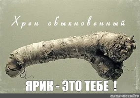 33c72daa74b6e211820fb26345b730d4.jpg