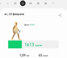 Screenshot_20210227-131551_Samsung Health.webp