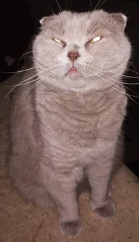 IMG_20200110_184341.webp IMG_20200110_184341.webp