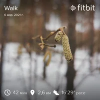 fitbitshare_114406603.webp