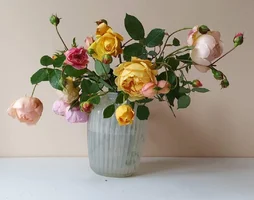 FB_IMG_1602862548937.webp FB_IMG_1602862548937.webp