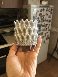 D45566EF-2B2F-46D1-892D-6B86872ACC1F.webp D45566EF-2B2F-46D1-892D-6B86872ACC1F.webp