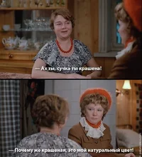 IMG_20210312_113505.jpg IMG_20210312_113505.jpg