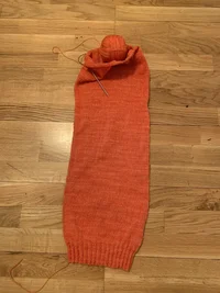 E3D503CA-3152-4381-9C07-DB4364BB42BD.webp E3D503CA-3152-4381-9C07-DB4364BB42BD.webp