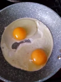 IMG20210317092559.webp IMG20210317092559.webp