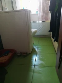 20210317_110952.webp 20210317_110952.webp