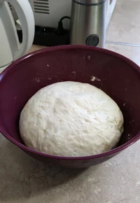 IMG_20210321_165216.jpg IMG_20210321_165216.jpg