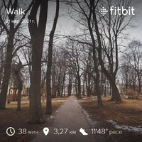 fitbitshare_1432749331.webp