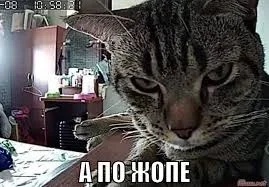 Без названия.jpeg.webp