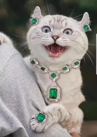 photoeditorsdk-export (14).webp