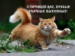 Без названия.webp