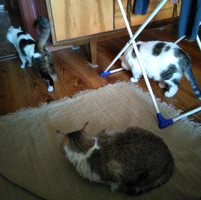 2021-02-20 14-20-44.webp