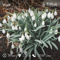 fitbitshare_58084165.webp