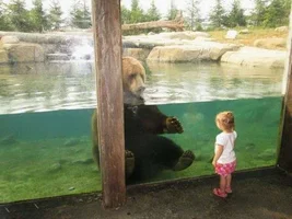 Маша и Медведь.webp