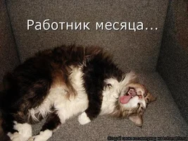 DzlY4fcnE3I.webp DzlY4fcnE3I.webp