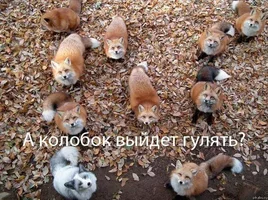 5eI6JTDtQkA.webp 5eI6JTDtQkA.webp