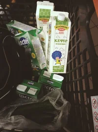 image.webp image.webp