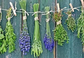 1618678440790.png 1618678440790.png